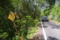 国道418号線 