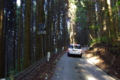 [道]国道265号線