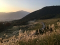 [道]大分県道11号線