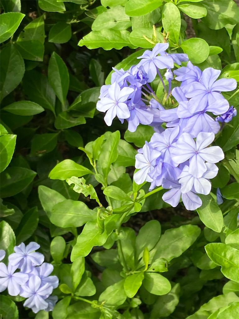 f:id:choppymamblog:20230628223047j:image f:id:choppymamblog:20230628223047j:image