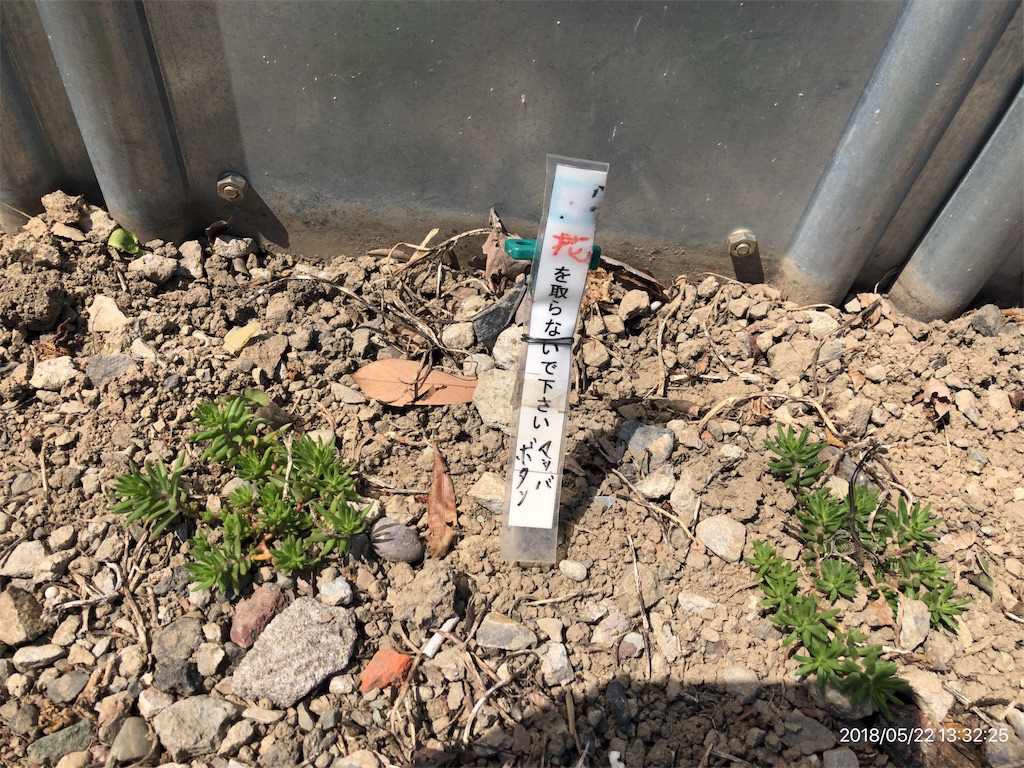 f:id:chorakuan:20180522133820j:image