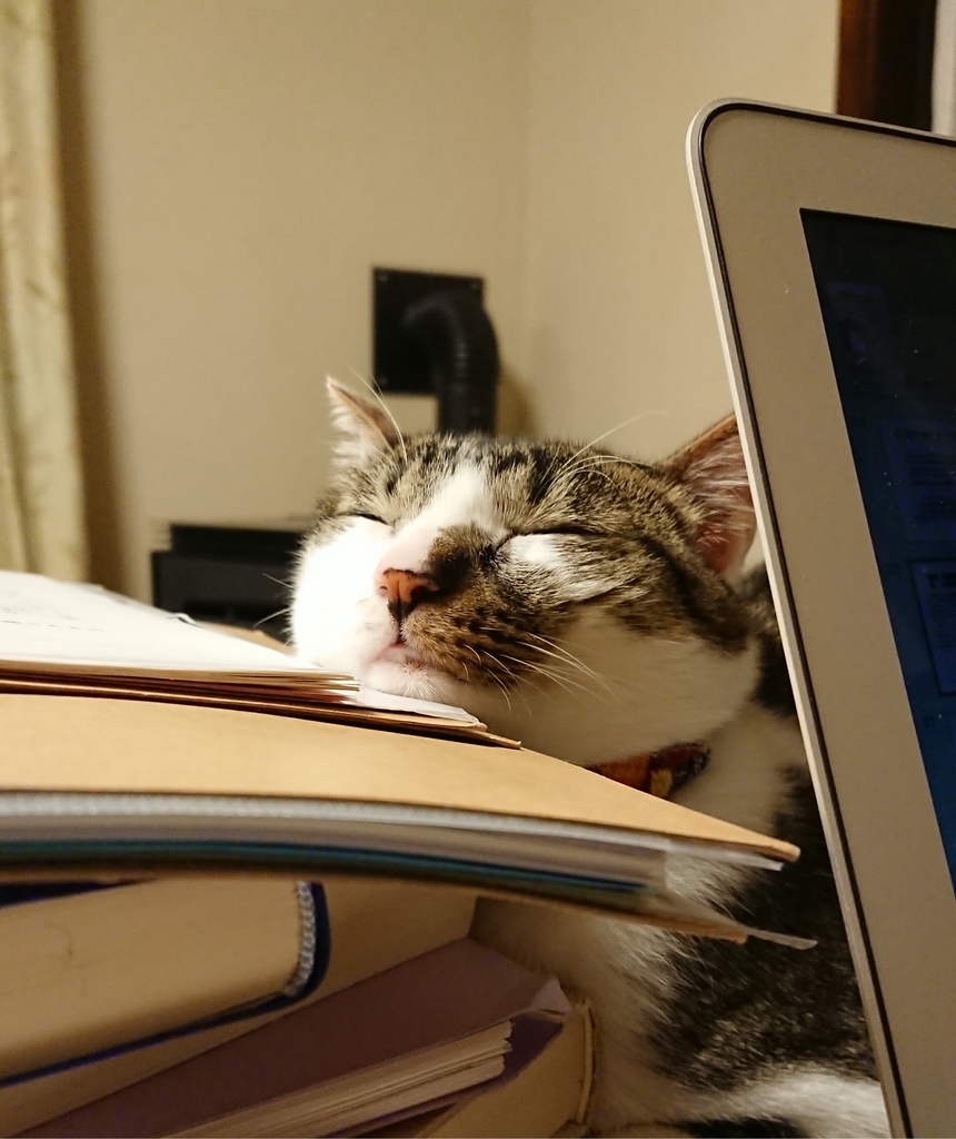 f:id:chorakuan:20190309072347j:plain f:id:chorakuan:20190309072347j:plain