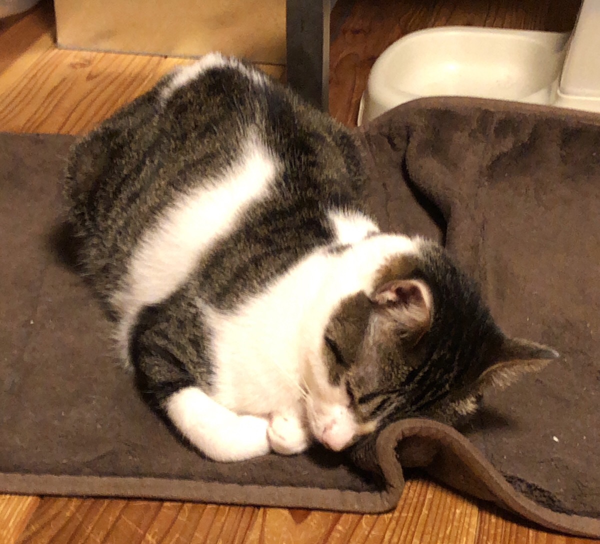 f:id:chorakuan:20190903163927j:plain