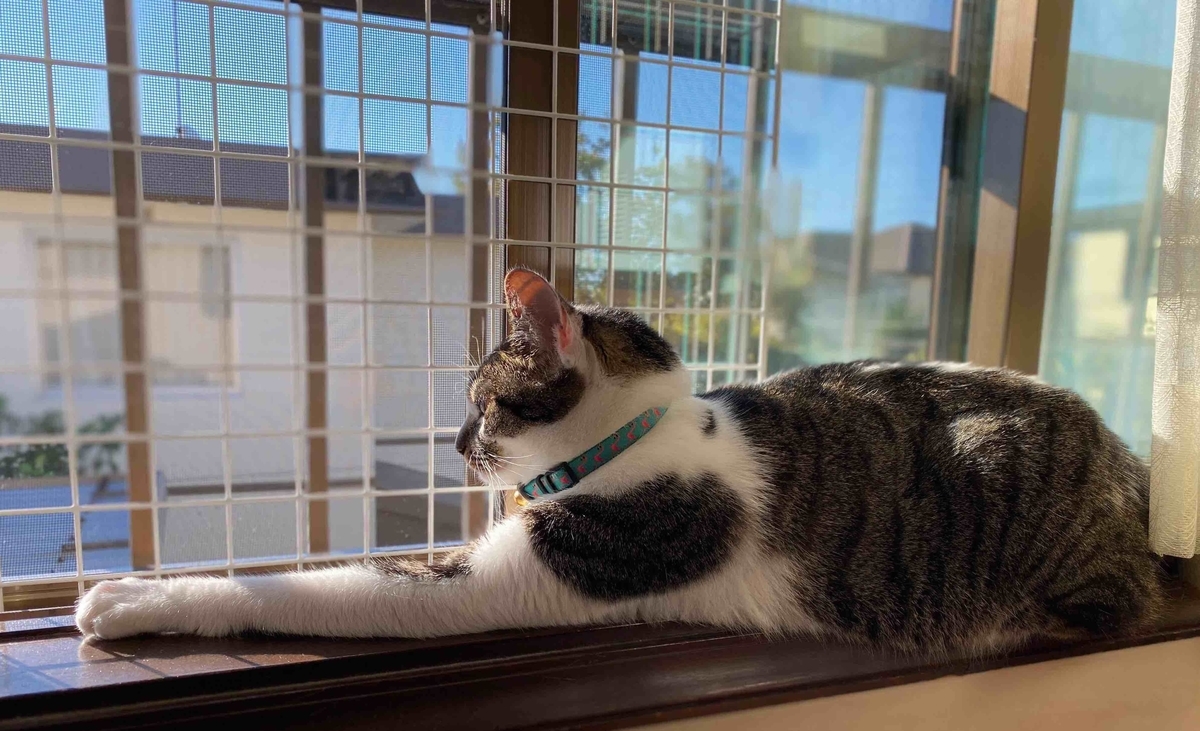 f:id:chorakuan:20191107054409j:plain