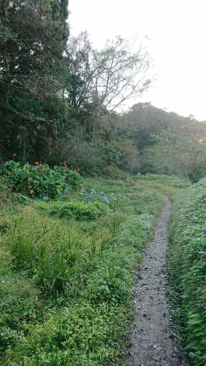 f:id:chorakuan:20191121200812j:plain f:id:chorakuan:20191121200812j:plain