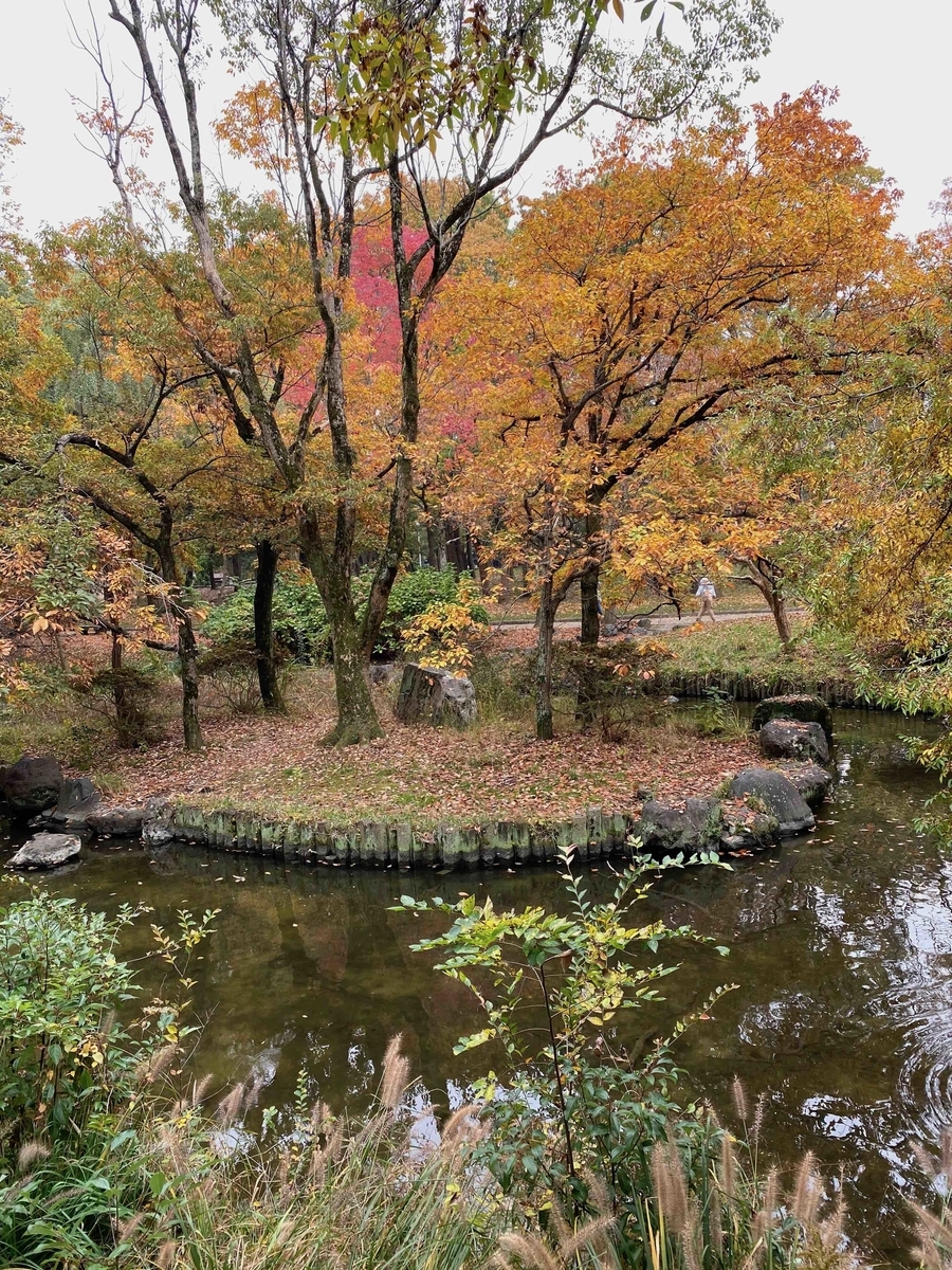 f:id:chorakuan:20191125224442j:plain f:id:chorakuan:20191125224442j:plain