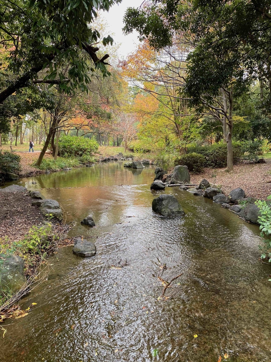 f:id:chorakuan:20191125224504j:plain f:id:chorakuan:20191125224504j:plain