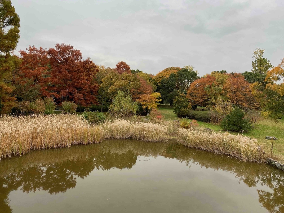 f:id:chorakuan:20191126051955j:plain f:id:chorakuan:20191126051955j:plain