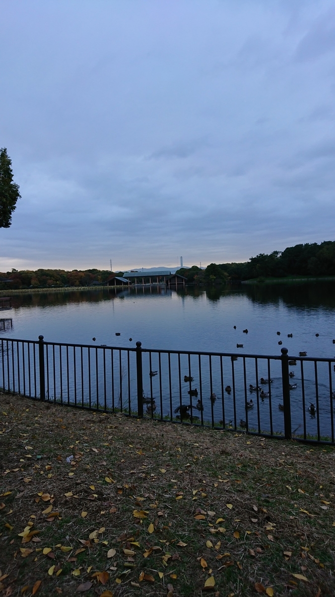 f:id:chorakuan:20191126142217j:plain