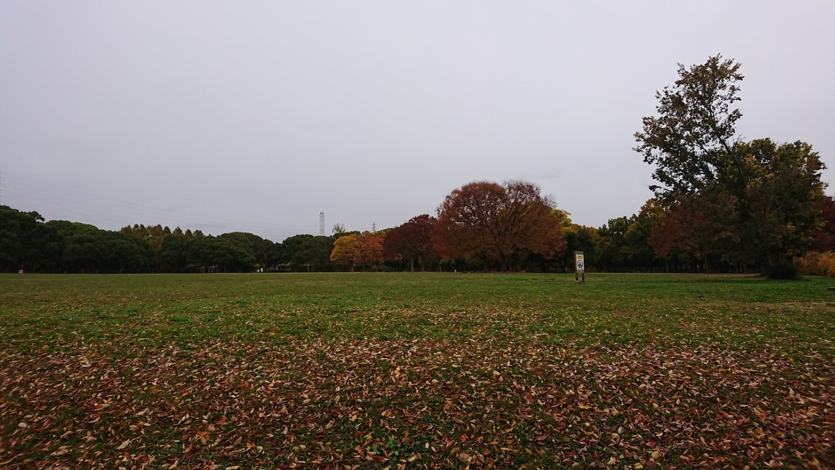 f:id:chorakuan:20191130233013j:plain