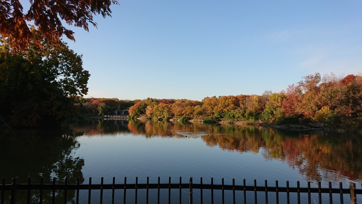 f:id:chorakuan:20191209120821j:plain