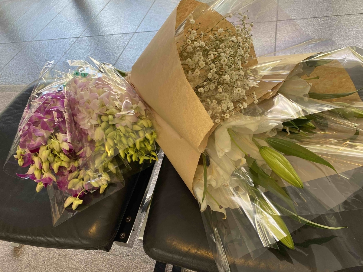 f:id:chorakuan:20200206152635j:plain