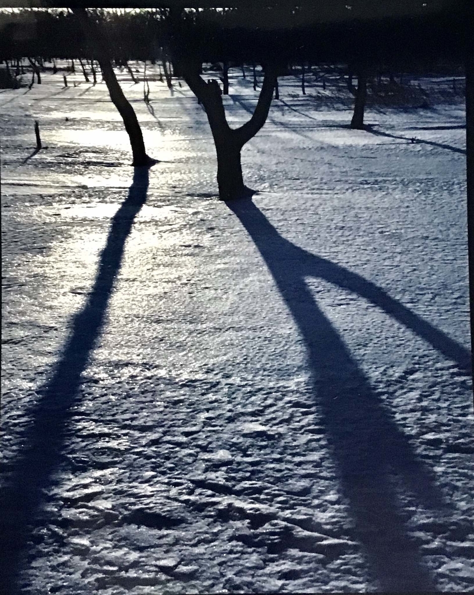 f:id:chorakuan:20200501214758j:plain