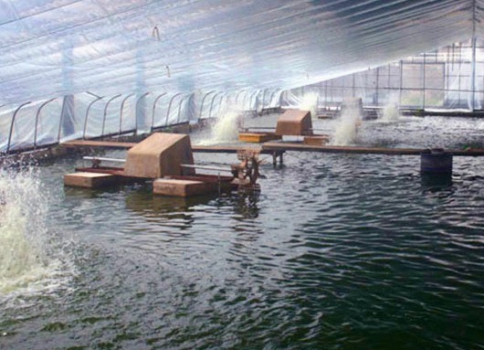 f:id:chorakuan:20200705120351j:plain