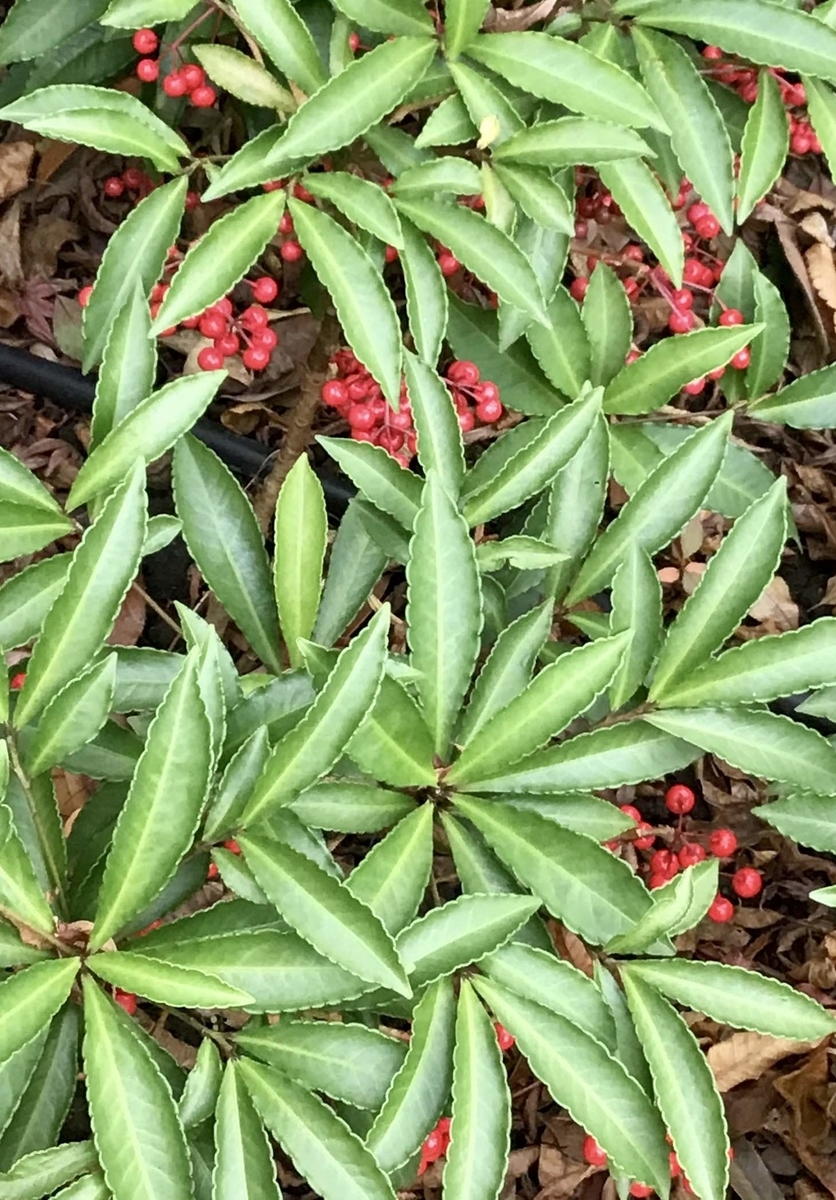 東都水産のTOB成立−麻生グループ筆頭株主に – 卸売市場流通についての諸問題