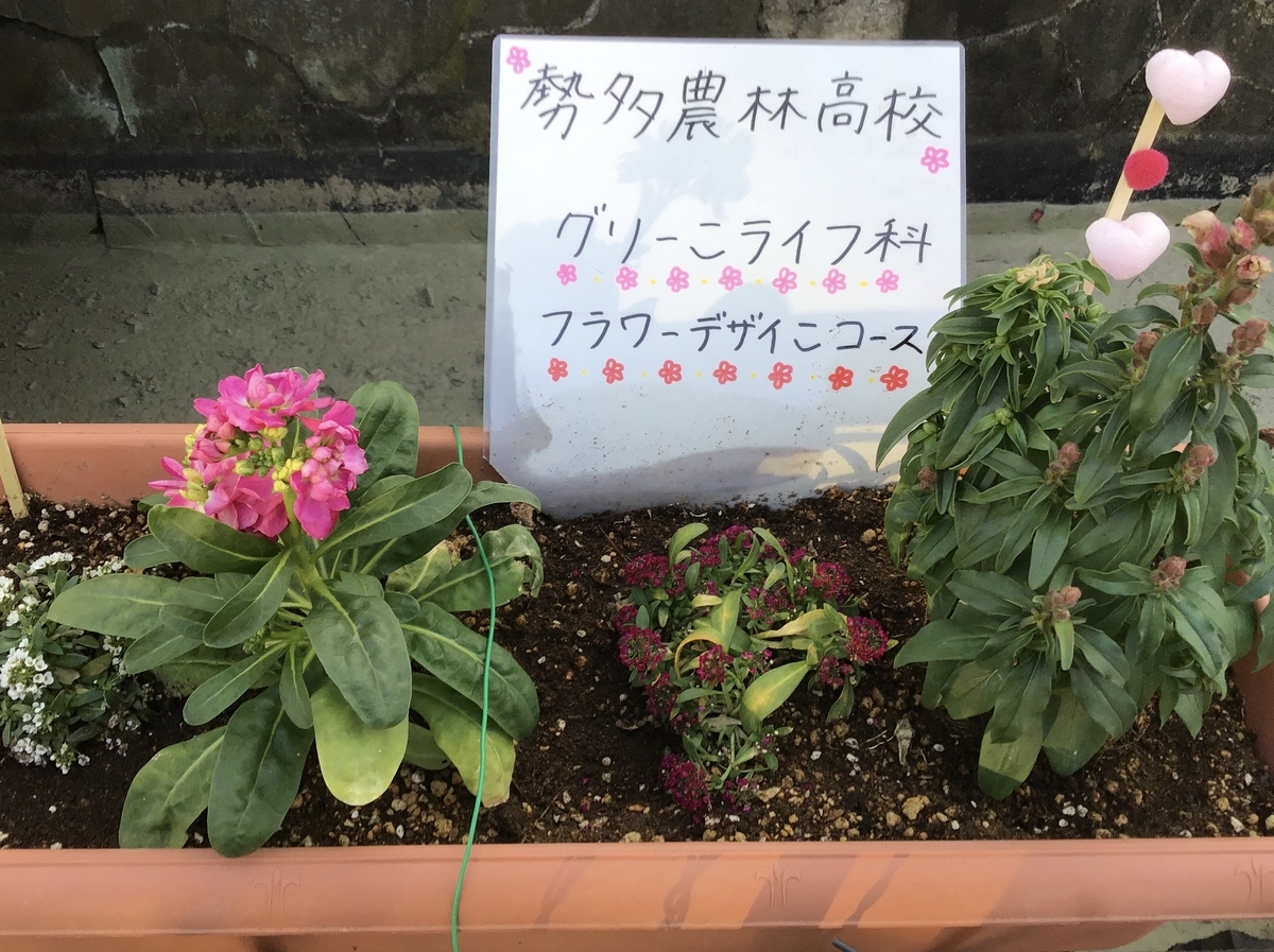 f:id:chorakuan:20210322214300j:plain