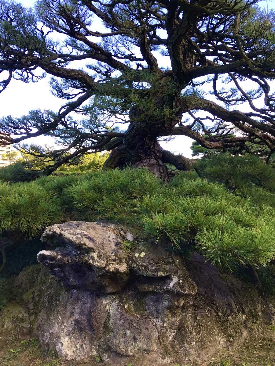 f:id:chorakuan:20211112112935j:plain