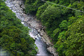 [宮崎]照葉大吊橋