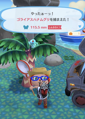 どうぶつの森 ポケットキャンプ ゴライアスハナムグリ 青島手帖