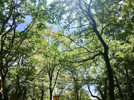 f:id:choral:20190906102101j:plain f:id:choral:20190906102101j:plain