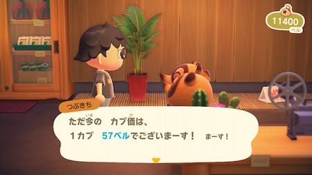 あつまれ どうぶつの森 えいえんのローン 青島手帖 あつまれ どうぶつの森 えいえんのローン 青島手帖