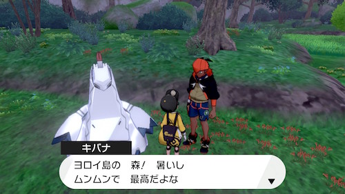 鎧の孤島 ポケットモンスター ソード ぼうけんノート 青島手帖