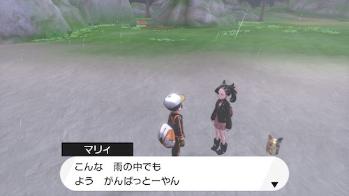 鎧の孤島 ポケットモンスター ソード ぼうけんノート 青島手帖