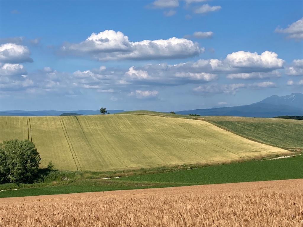 f:id:chorin_pro:20210717184559j:image