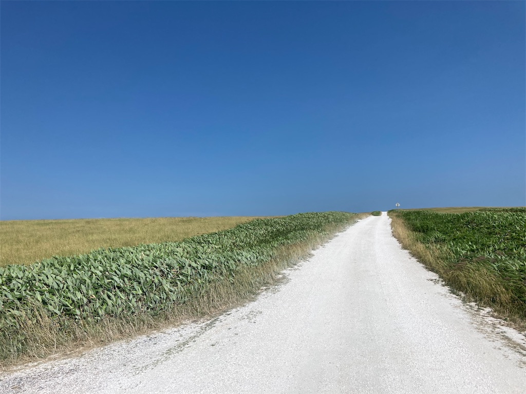 f:id:chorin_pro:20210718142638j:image