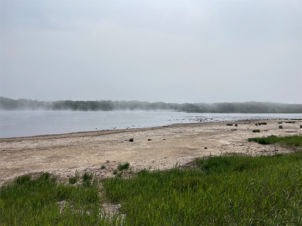 f:id:chorin_pro:20210720134907j:image