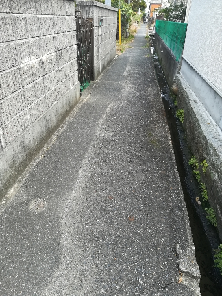 f:id:choro0164:20190118064553j:plain