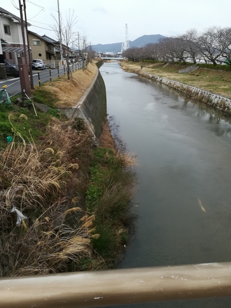 f:id:choro0164:20190310064109j:plain f:id:choro0164:20190310064109j:plain