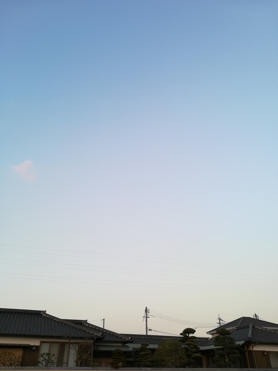 f:id:choro0164:20190316055534j:plain