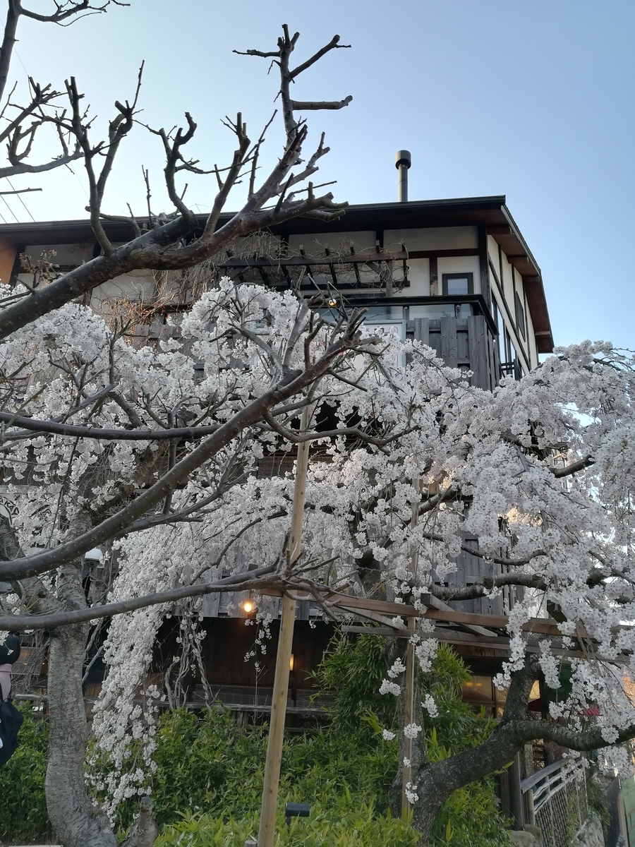 f:id:choro0164:20190408071918j:plain
