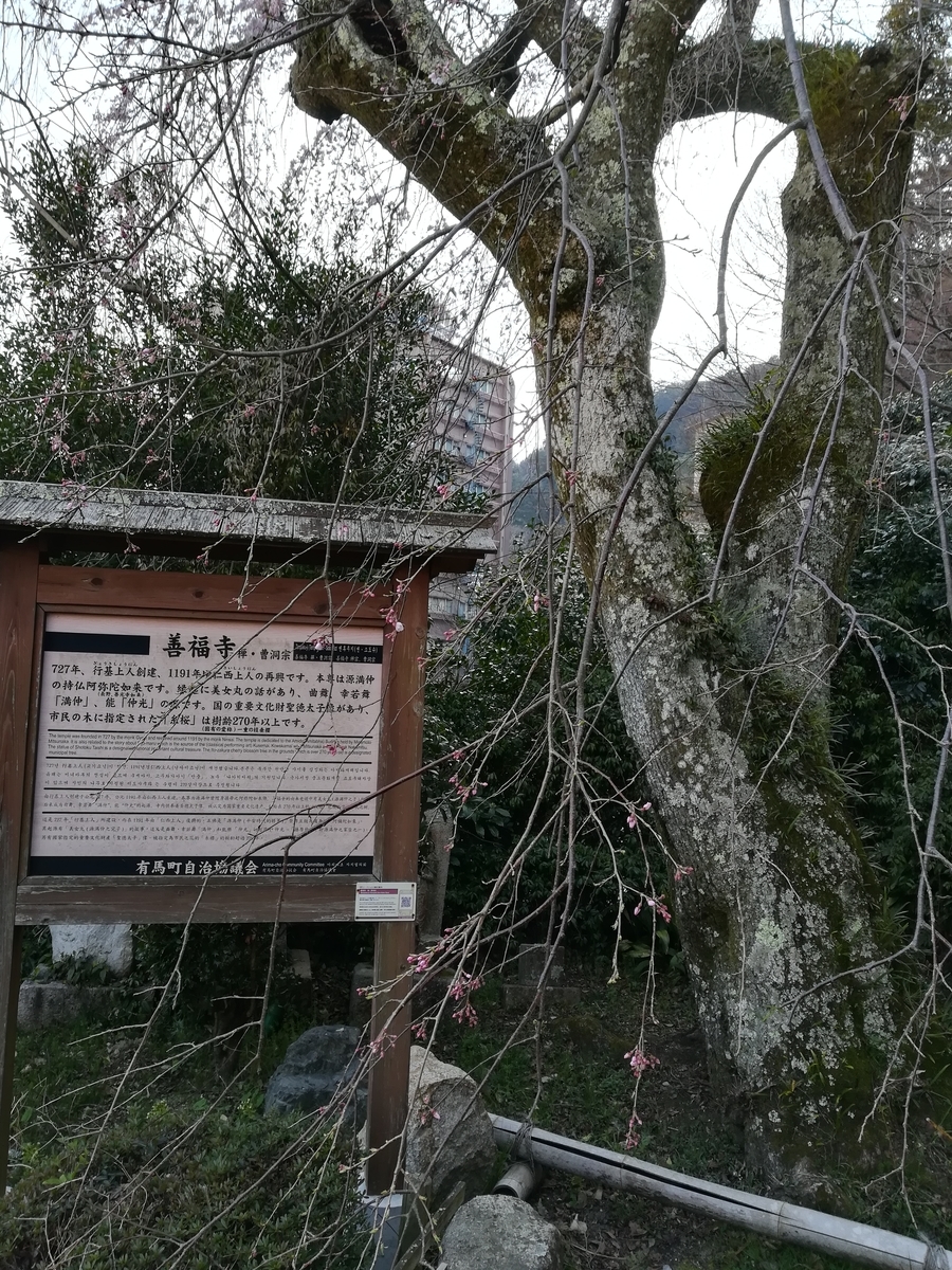 f:id:choro0164:20190408072157j:plain