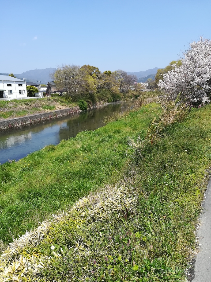 f:id:choro0164:20190413070008j:plain