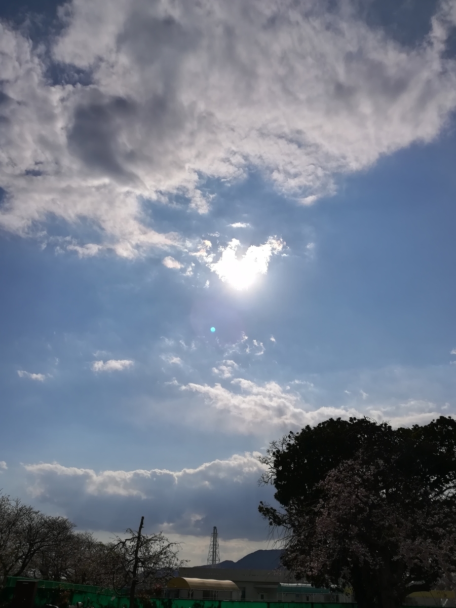 f:id:choro0164:20190414074808j:plain