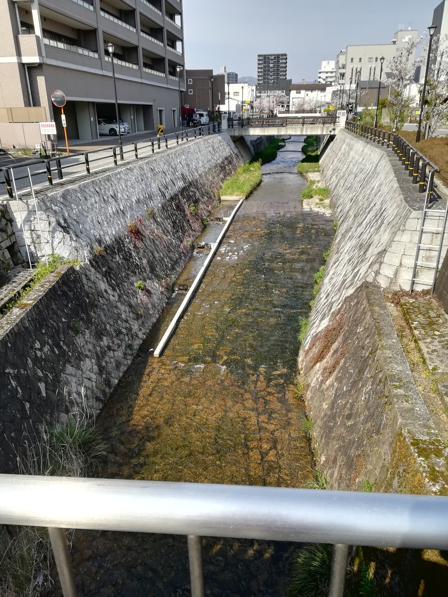 f:id:choro0164:20190415070034j:plain f:id:choro0164:20190415070034j:plain