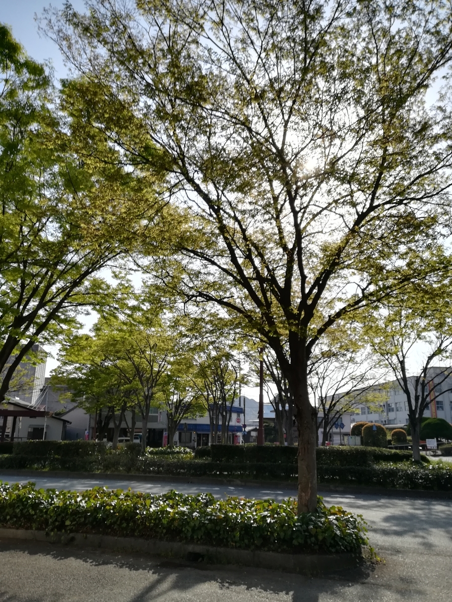 f:id:choro0164:20190415070228j:plain f:id:choro0164:20190415070228j:plain
