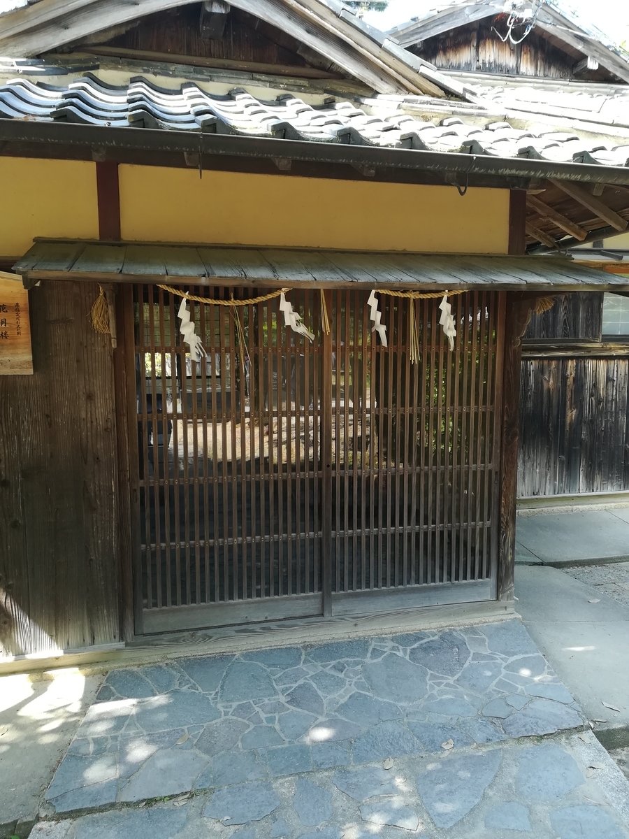 f:id:choro0164:20190505071513j:plain