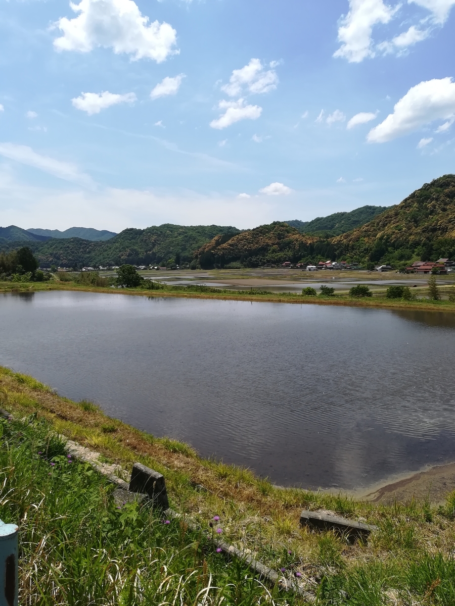 f:id:choro0164:20190518070958j:plain