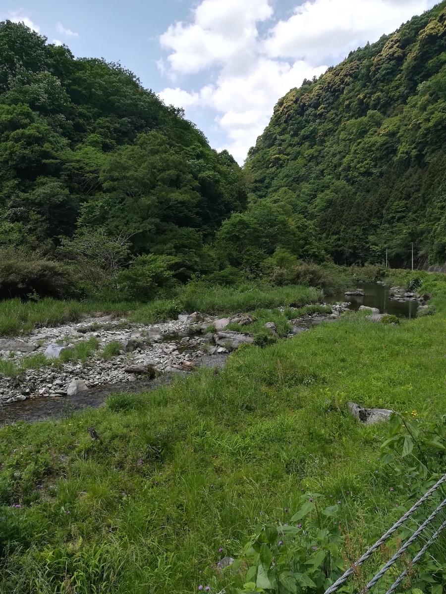 f:id:choro0164:20190518071410j:plain