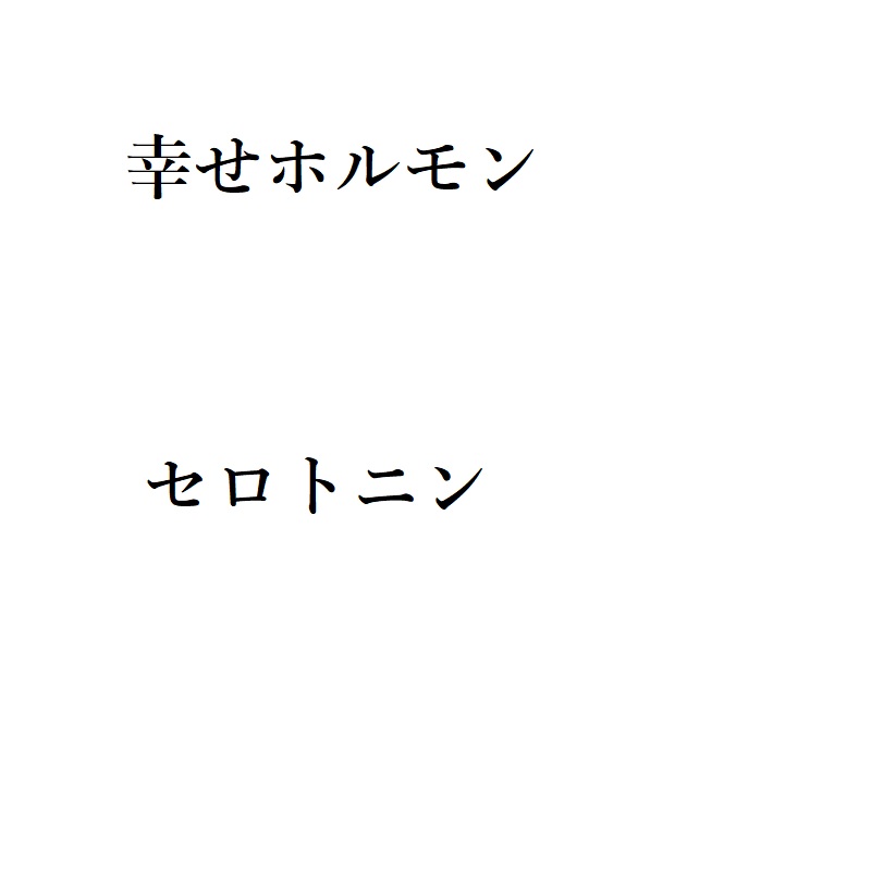 f:id:choro0164:20190531094554j:plain
