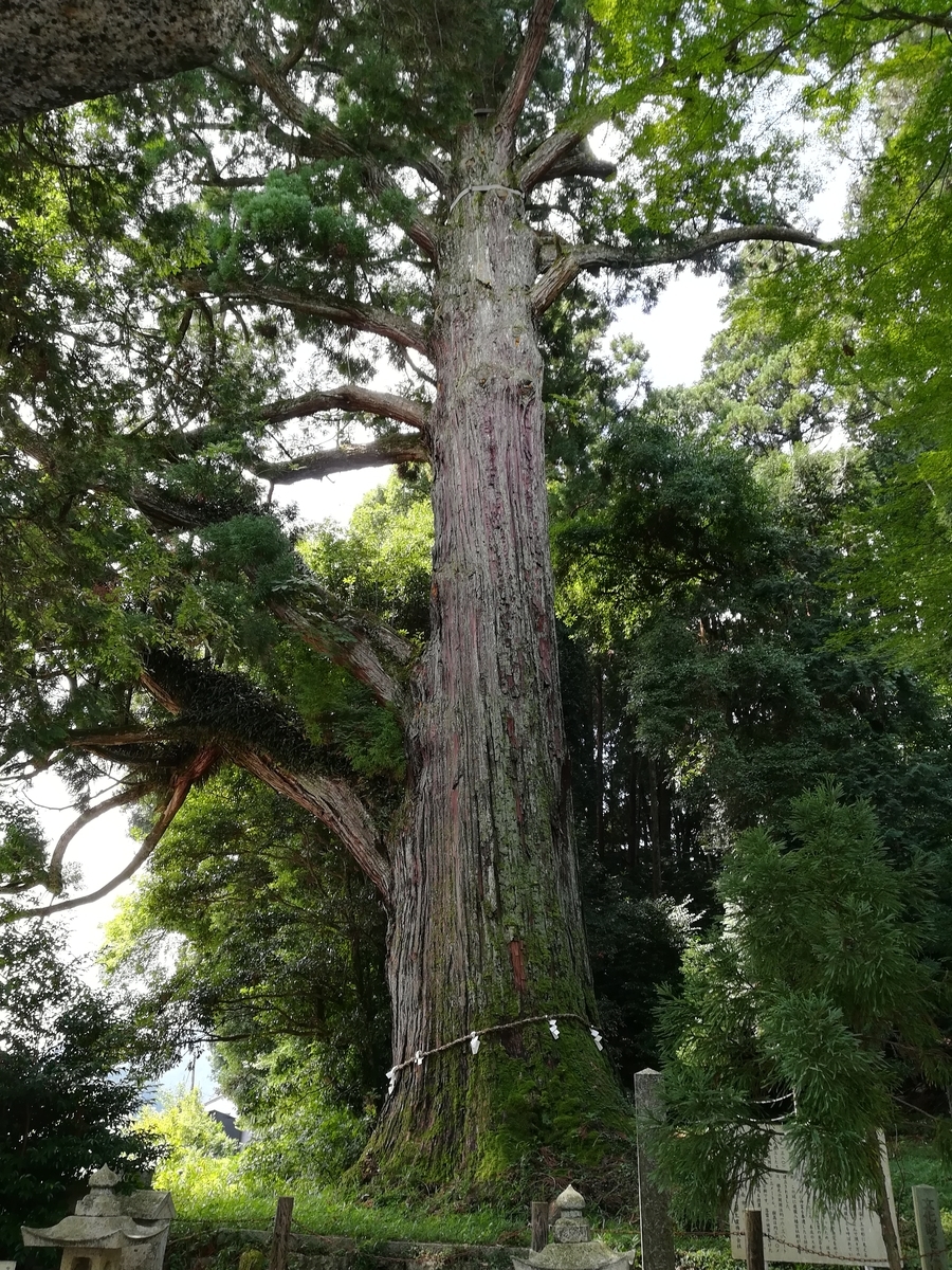 f:id:choro0164:20190818074031j:plain