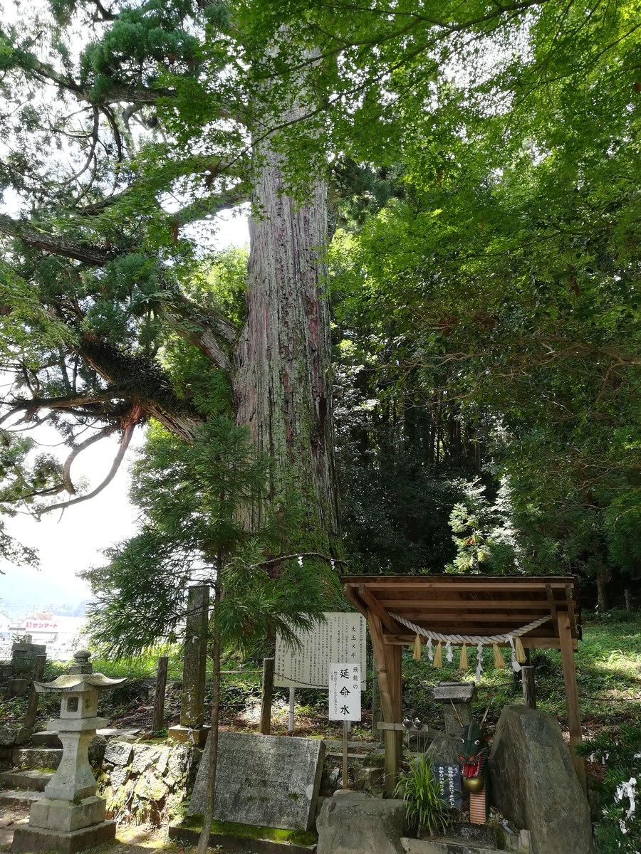 f:id:choro0164:20190818074138j:plain