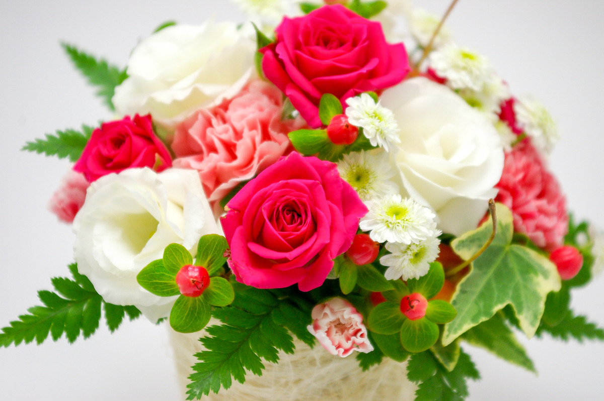 f:id:choro0164:20190826065623j:plain