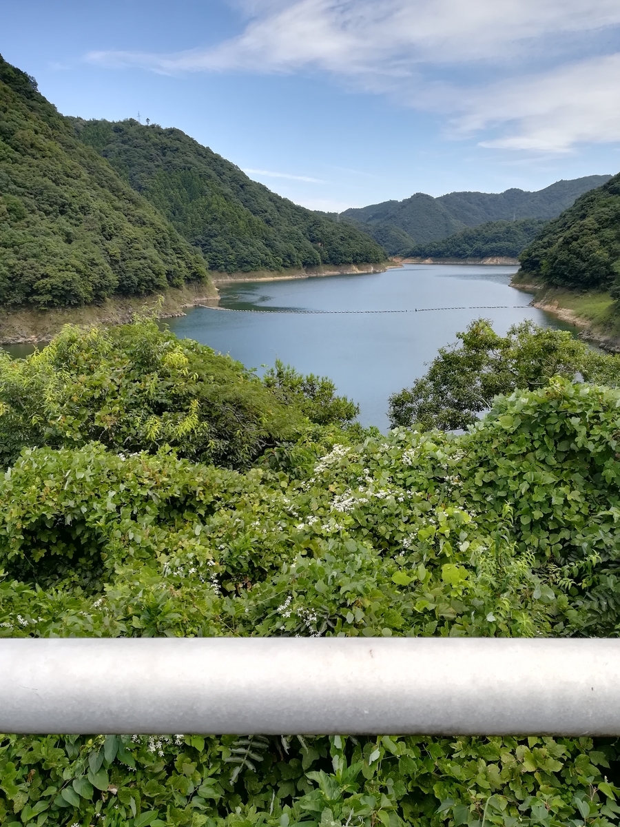 f:id:choro0164:20190921082942j:plain f:id:choro0164:20190921082942j:plain