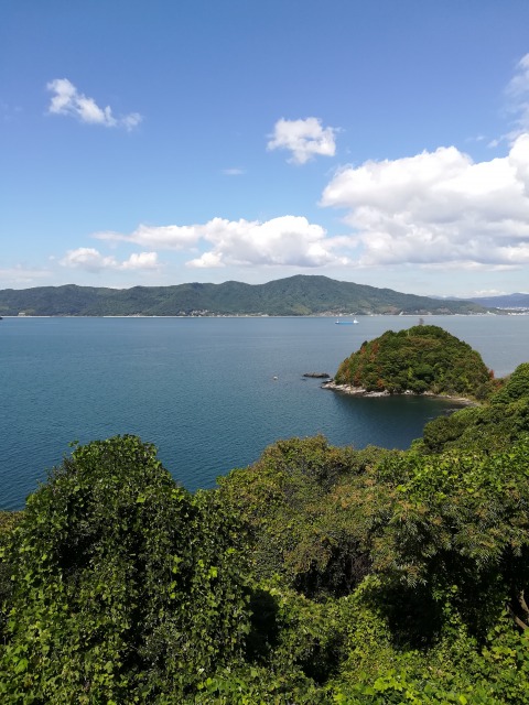 f:id:choro0164:20191112065519j:plain f:id:choro0164:20191112065519j:plain