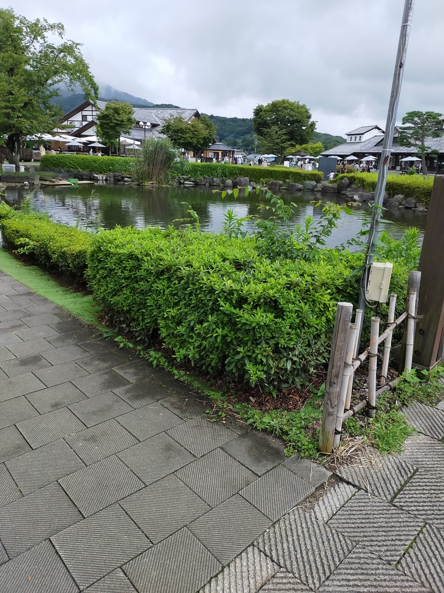 f:id:choro0164:20210907072850j:plain