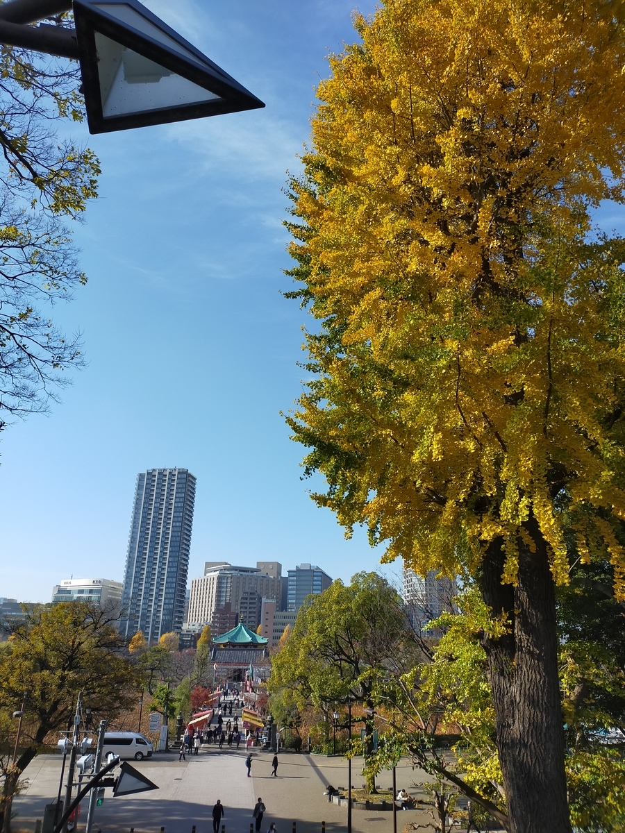 上野駅付近の紅葉